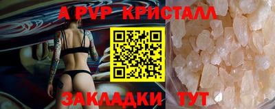 стаф Будённовск