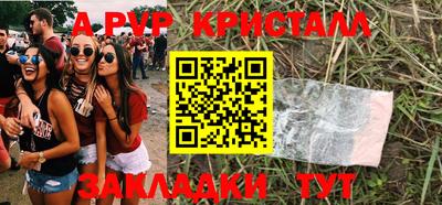 стаф Будённовск