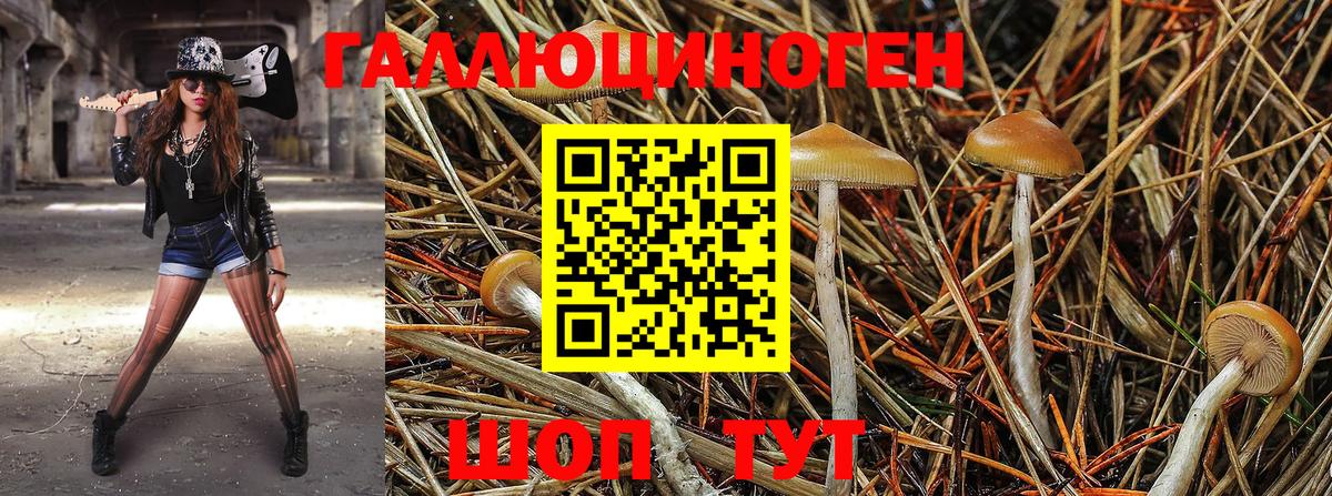Псилоцибиновые грибы Magic Shrooms  Вход с VPN  Псилоцибиновые грибы Cubensis  Саранск 